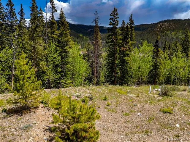 522 Quartzville Road Alma, CO 80420