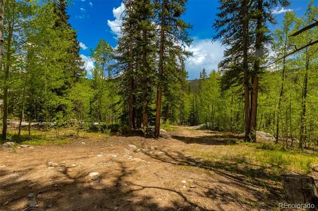 522 Quartzville Road Alma, CO 80420