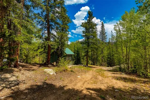 522 Quartzville Road Alma, CO 80420