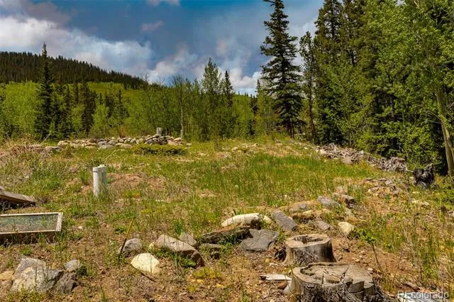 522 Quartzville Road Alma, CO 80420