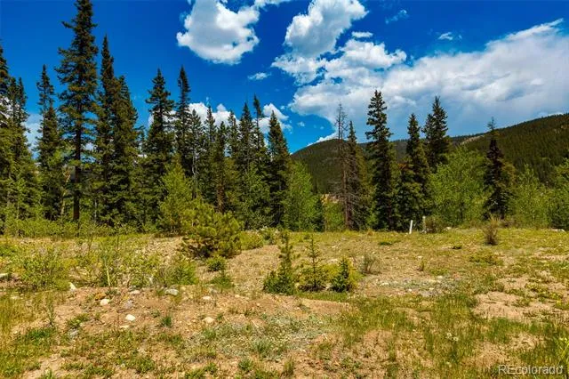 522 Quartzville Road Alma, CO 80420