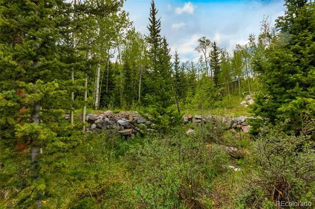 522 Quartzville Road Alma, CO 80420