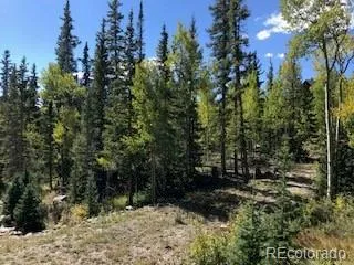 522 Quartzville Road Alma, CO 80420