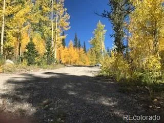 522 Quartzville Road Alma, CO 80420