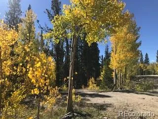 522 Quartzville Road Alma, CO 80420