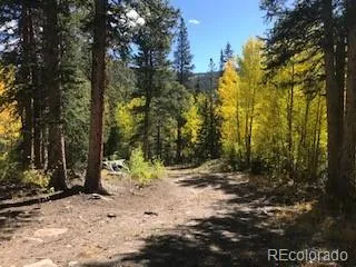 522 Quartzville Road Alma, CO 80420