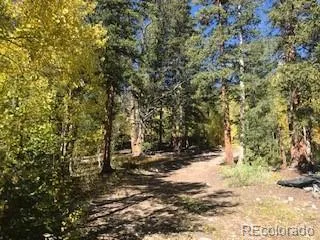 522 Quartzville Road Alma, CO 80420