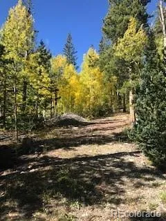 522 Quartzville Road Alma, CO 80420