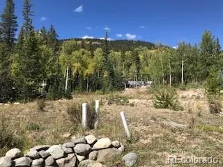 522 Quartzville Road Alma, CO 80420