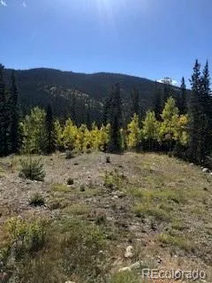522 Quartzville Road Alma, CO 80420