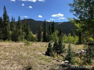 522 Quartzville Road Alma, CO 80420