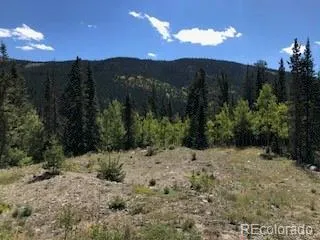 522 Quartzville Road Alma, CO 80420