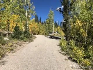 522 Quartzville Road Alma, CO 80420