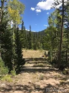 522 Quartzville Road Alma, CO 80420