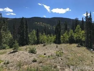 522 Quartzville Road Alma, CO 80420