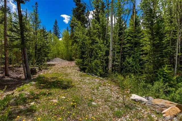 522 Quartzville Road Alma, CO 80420