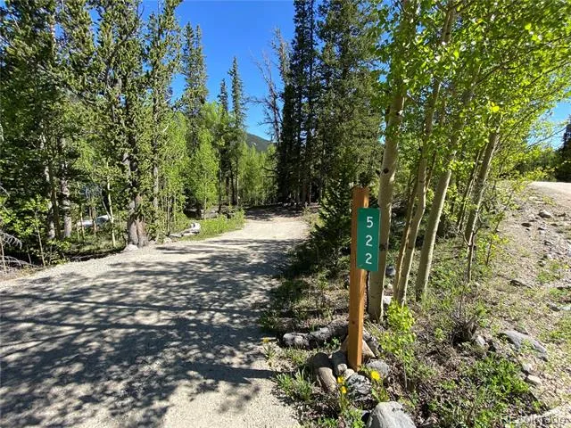 522 Quartzville Road Alma, CO 80420