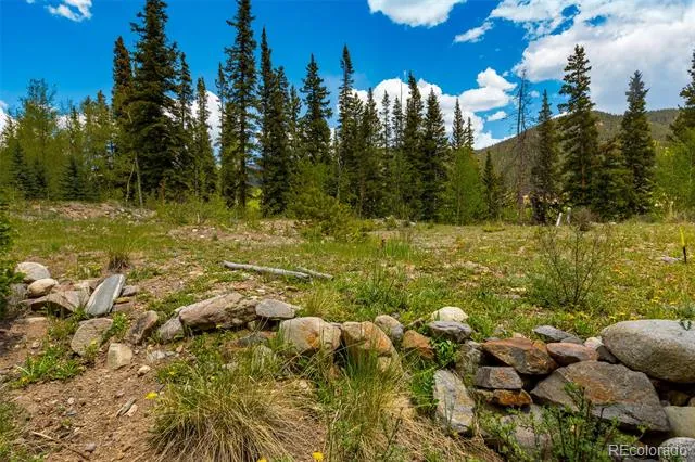 522 Quartzville Road Alma, CO 80420