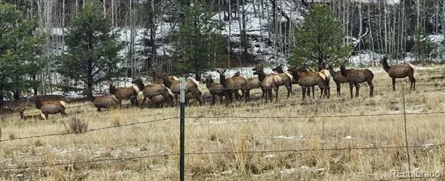 400 Bear Trax Drive Canon City, CO 81212