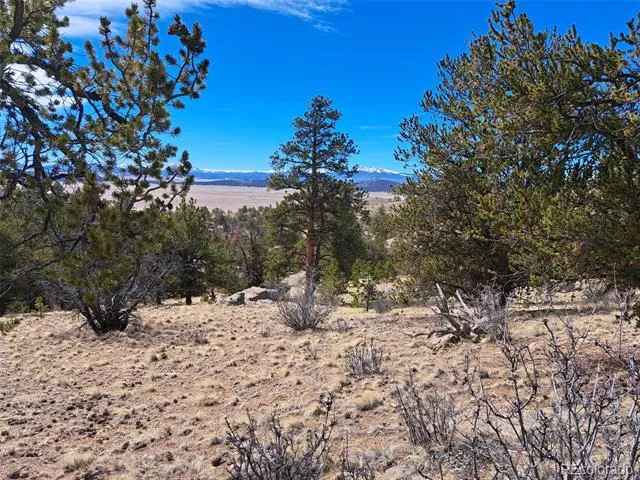 369 Summit Road Hartsel, CO 80449