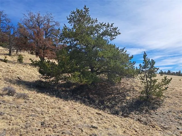369 Summit Road Hartsel, CO 80449