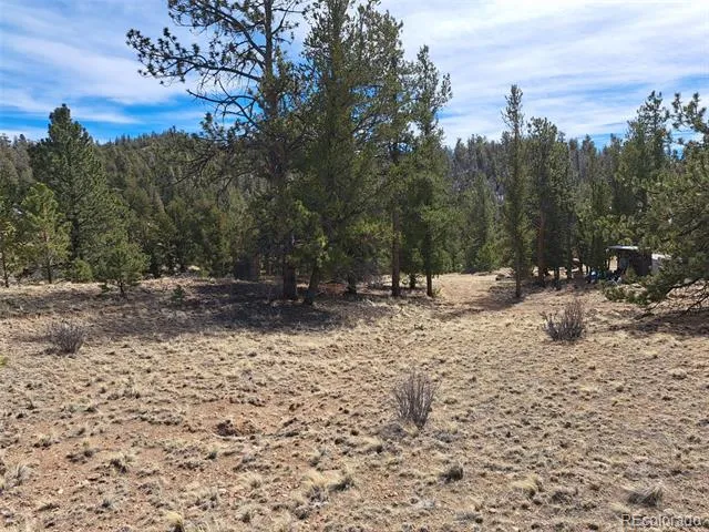369 Summit Road Hartsel, CO 80449