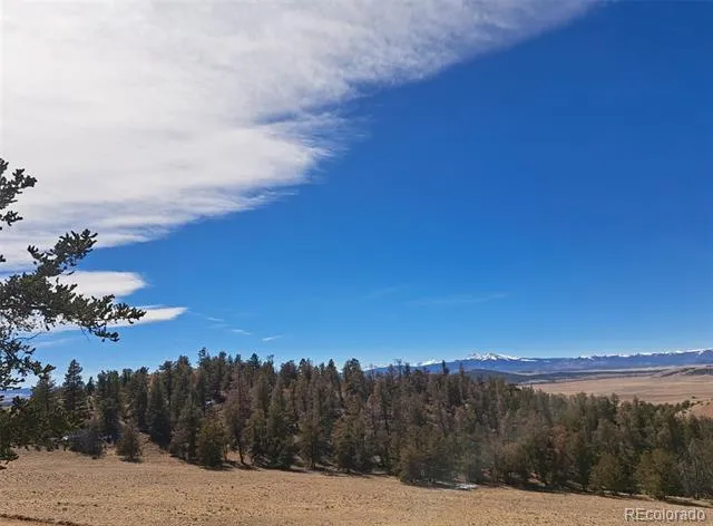 369 Summit Road Hartsel, CO 80449