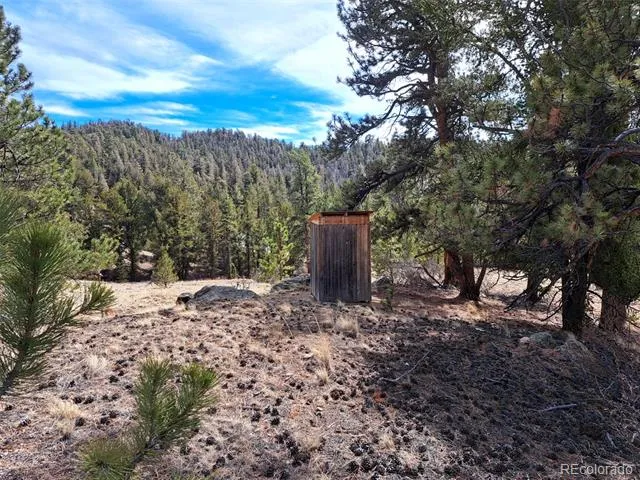 369 Summit Road Hartsel, CO 80449