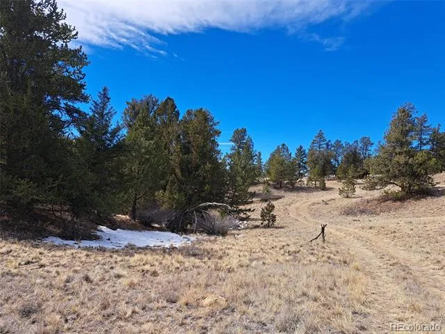 369 Summit Road Hartsel, CO 80449