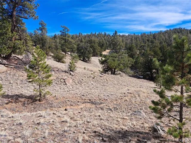 369 Summit Road Hartsel, CO 80449