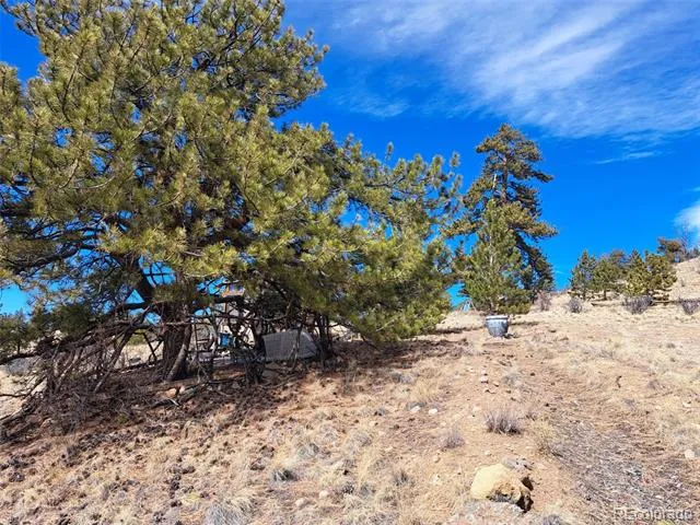 369 Summit Road Hartsel, CO 80449