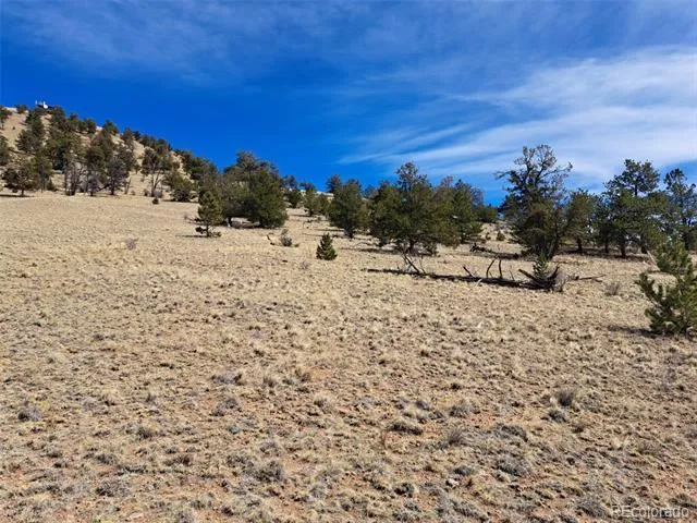 369 Summit Road Hartsel, CO 80449