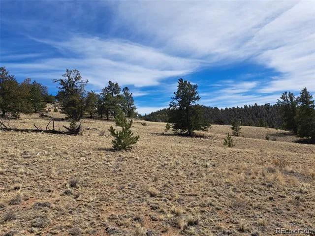 369 Summit Road Hartsel, CO 80449