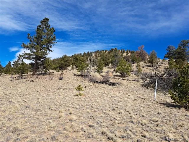 369 Summit Road Hartsel, CO 80449