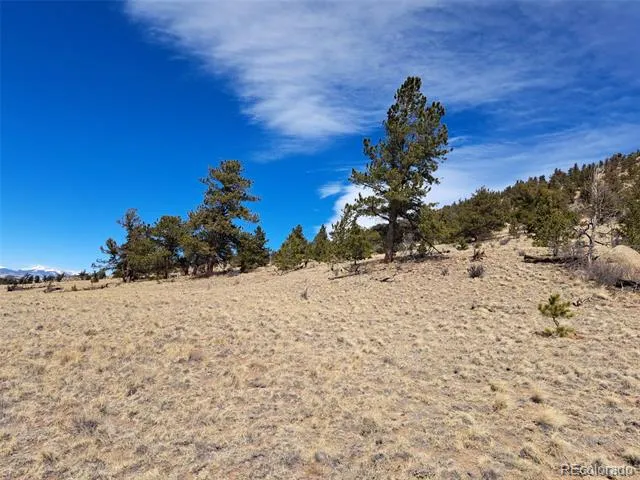 369 Summit Road Hartsel, CO 80449
