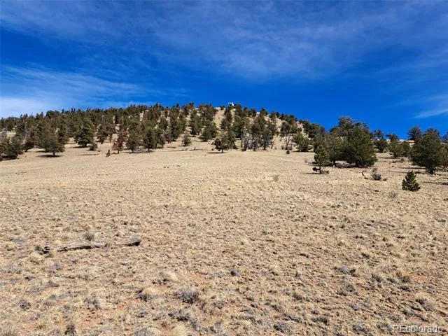 369 Summit Road Hartsel, CO 80449