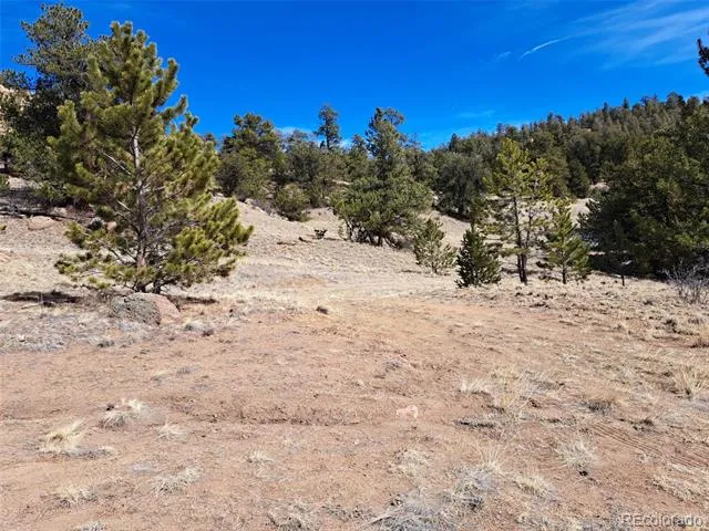 369 Summit Road Hartsel, CO 80449