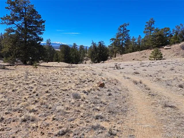 369 Summit Road Hartsel, CO 80449