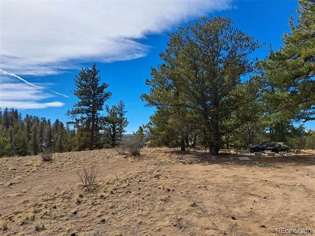 369 Summit Road Hartsel, CO 80449