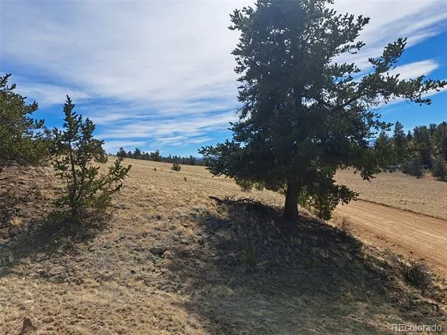 369 Summit Road Hartsel, CO 80449