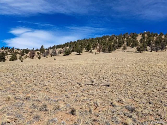 369 Summit Road Hartsel, CO 80449