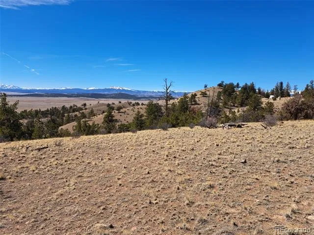 369 Summit Road Hartsel, CO 80449