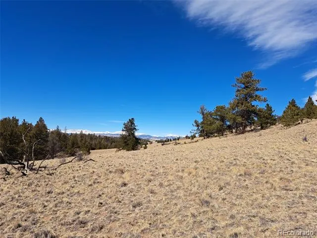 369 Summit Road Hartsel, CO 80449