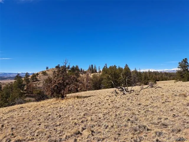 369 Summit Road Hartsel, CO 80449