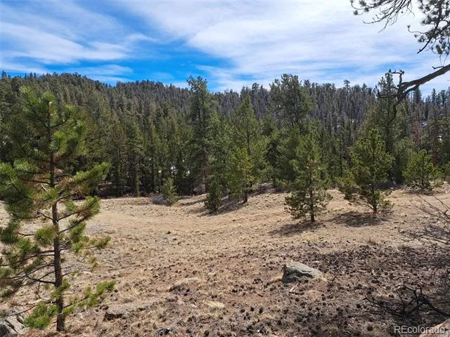 369 Summit Road Hartsel, CO 80449