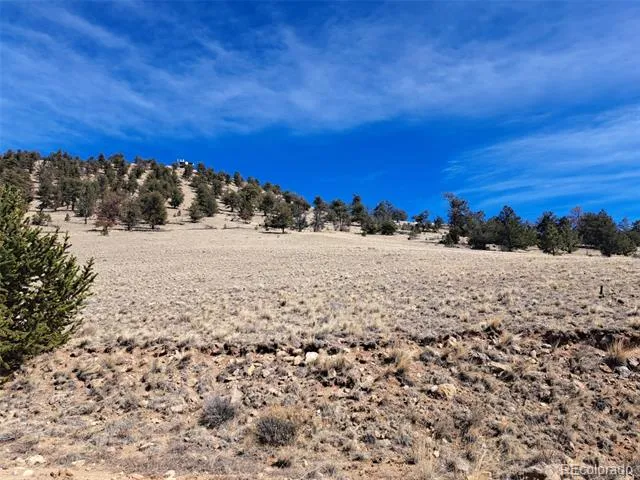 369 Summit Road Hartsel, CO 80449