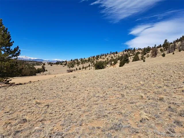369 Summit Road Hartsel, CO 80449