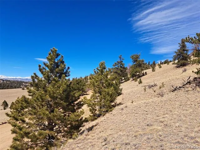 369 Summit Road Hartsel, CO 80449