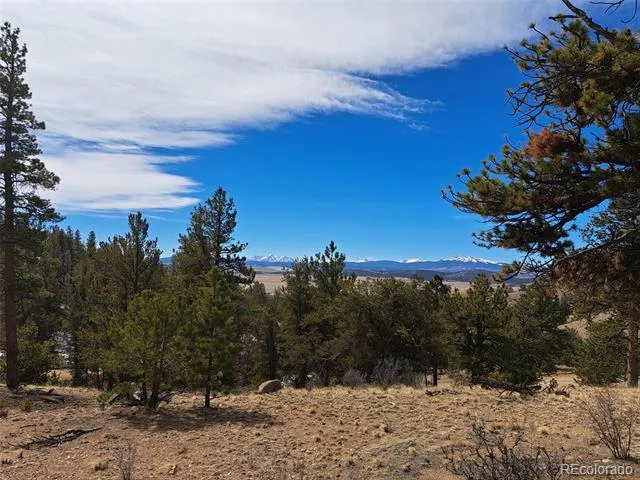 369 Summit Road Hartsel, CO 80449