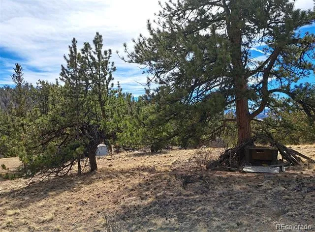 369 Summit Road Hartsel, CO 80449